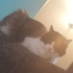 Meet your Posher, Lillian